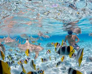 bora-bora-snorkeling-tour-motu-fanfan